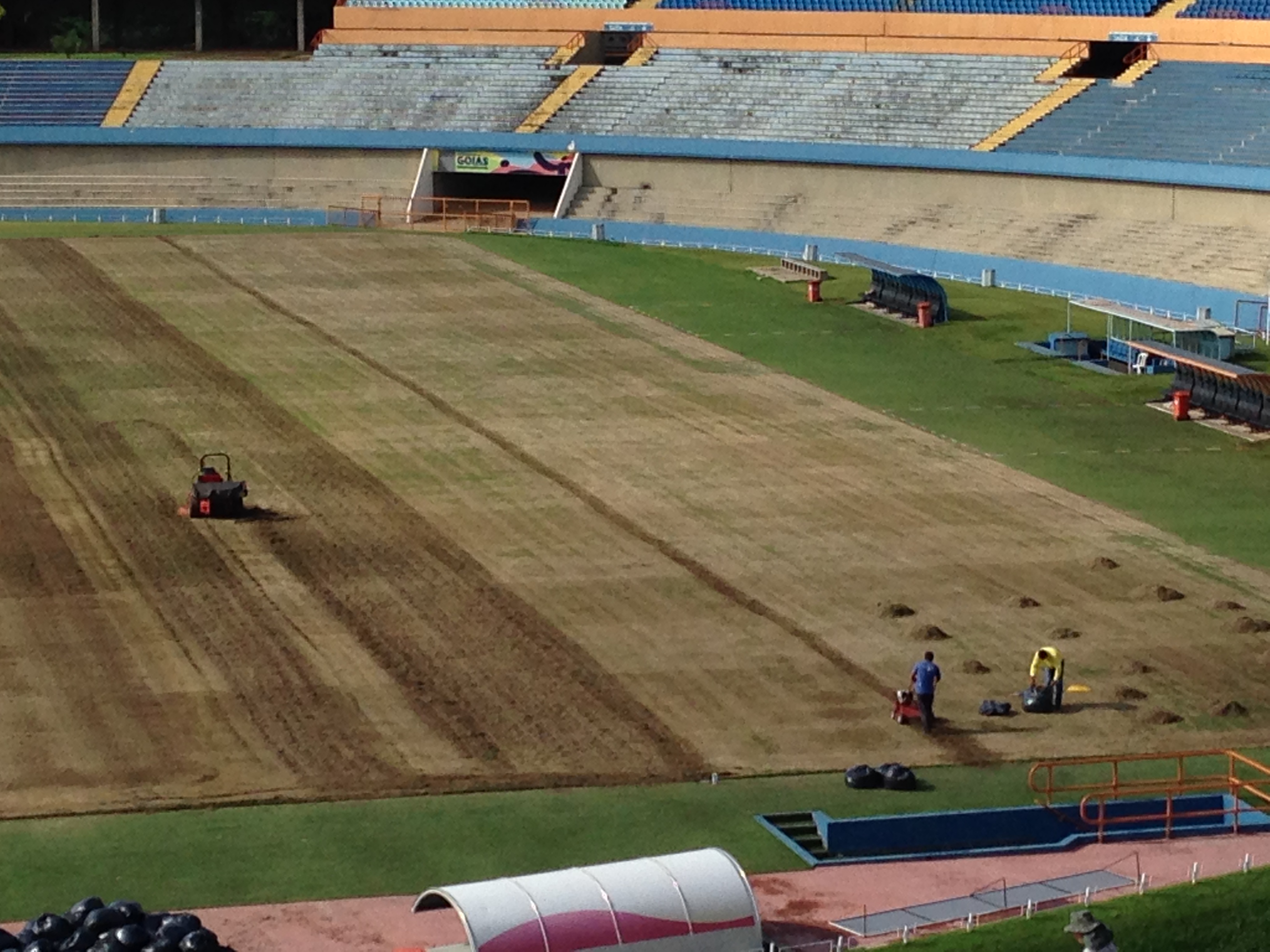 Trabalho de revitalização do gramado do Serra Dourada